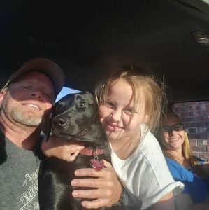 Meet your Posher, Brady